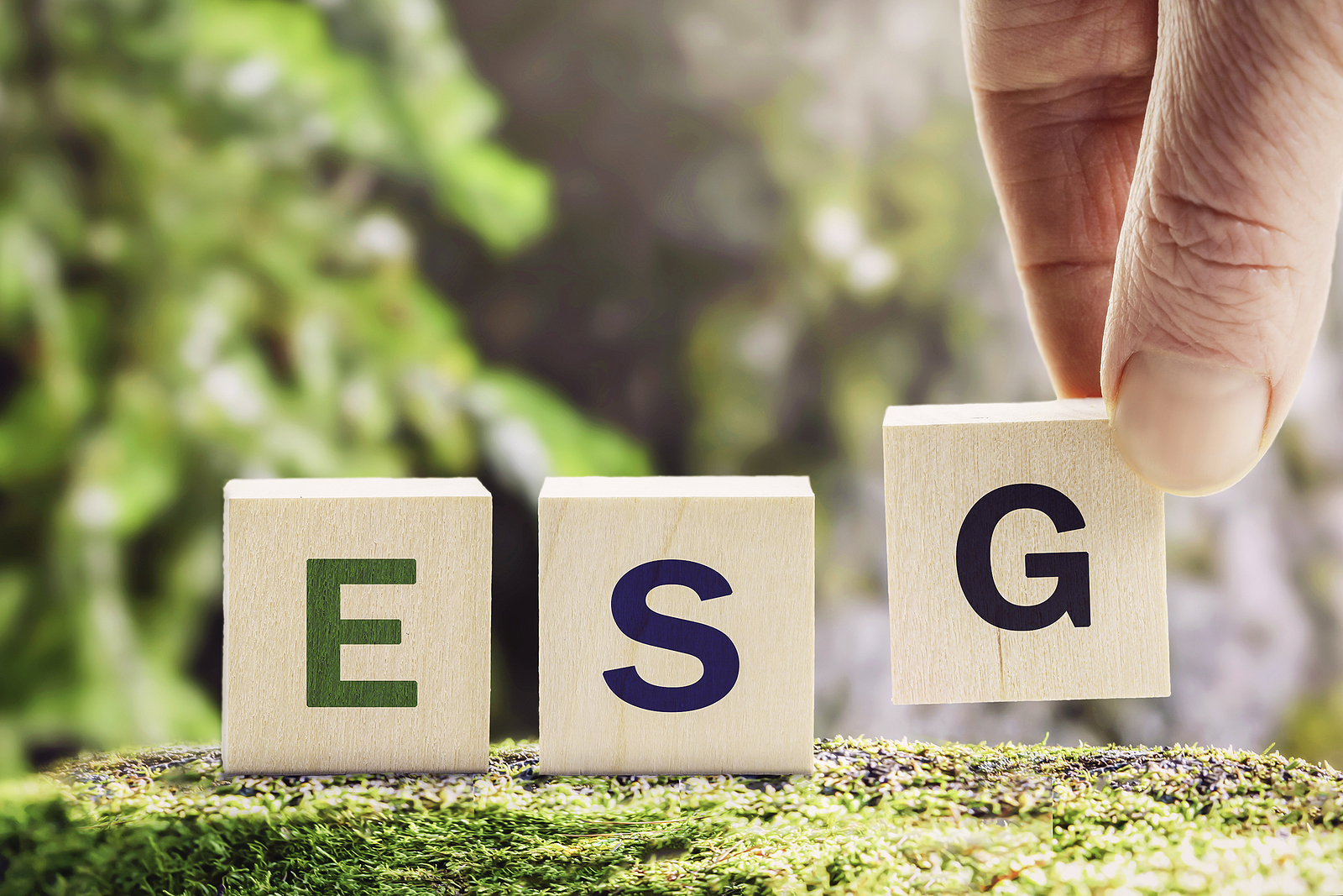 Sustainable Investing