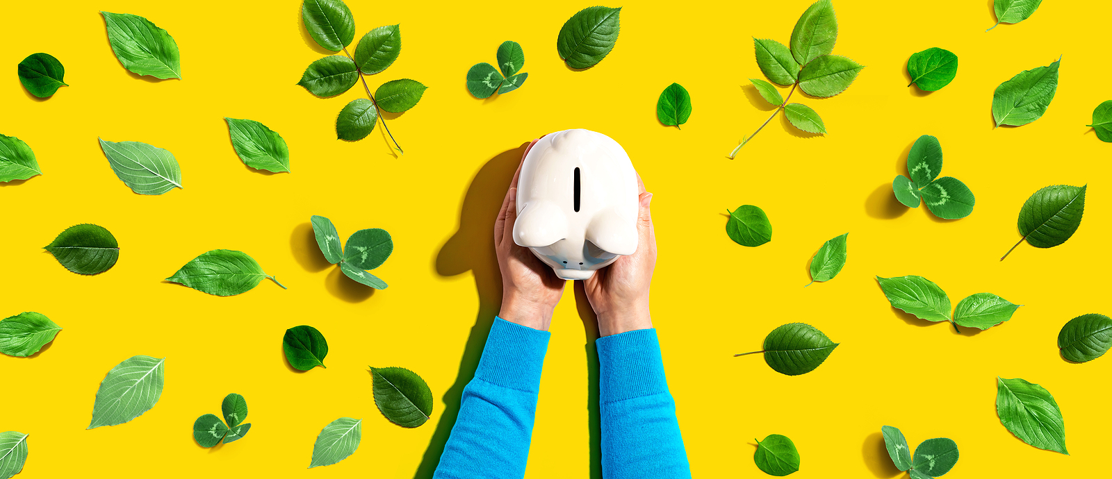 spring clean your finances